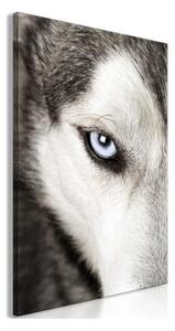 Quadro Dog's Look (1 Part) Vertical