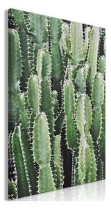 Quadro Cactus Garden (1 Part) Vertical