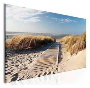 Quadro Spiaggia selvaggia