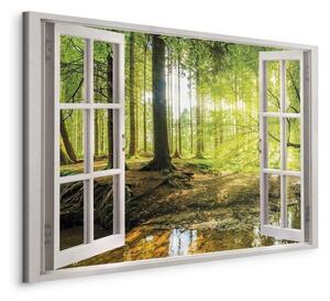 Quadro Window View on Forest