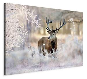 Quadro Deer in the Cold