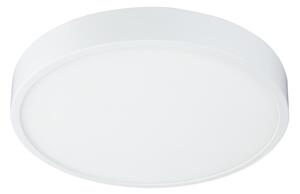 Globo 12364-30 - Lampada da bagno LED dimmerabile LED/28W/230V IP44