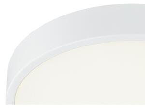 Globo 12364-30 - Lampada da bagno LED dimmerabile LED/28W/230V IP44