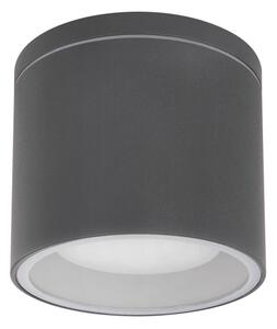 Globo 32063A - Plafoniera da esterno ALCALA 1xGX53/11W/230V IP44