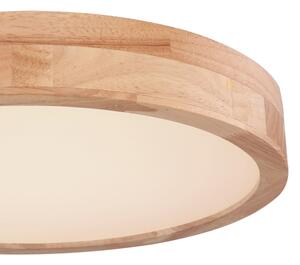 Globo 41745-24 - Plafoniera LED Dimming RAINER LED/24W/230V + TC