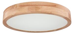 Globo 41745-24 - Plafoniera LED Dimming RAINER LED/24W/230V + TC