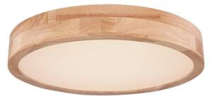 Globo 41745-24 - Plafoniera LED Dimming RAINER LED/24W/230V + TC