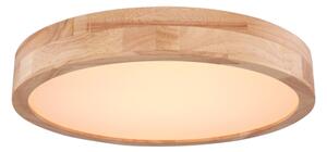 Globo 41745-24 - Plafoniera LED Dimming RAINER LED/24W/230V + TC