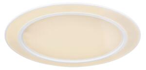 Globo 48549-60 - Lampada LED RGB dimmerabile DAHLA LED/60W/230V + LED/26W + T