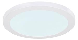 Globo 12379-24W - Plafoniera LED LASSE LED/24W/230V
