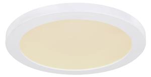 Globo 12379-24W - Plafoniera LED LASSE LED/24W/230V