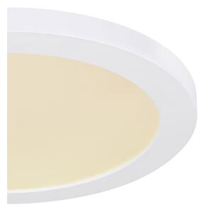 Globo 12379-24W - Plafoniera LED LASSE LED/24W/230V