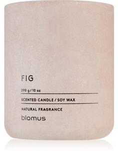 Blomus Fraga Fig candela profumata 290 g