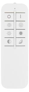 Globo 48435-36 - Plafoniera LED dimmerabile RODAN LED/36W/230V + +TC