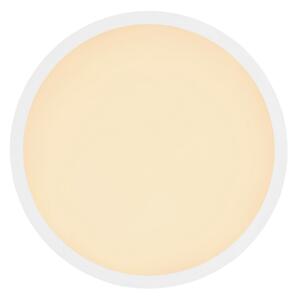 Globo 41562-18W - Plafoniera LED da bagno SAPANA LED/18W/230V IP44