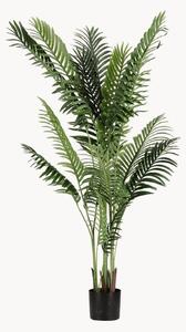 Pianta artificiale da esterno Kenzia, alt. 160 cm