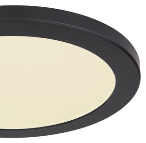 Globo 12379-24B - Plafoniera LED LASSE LED/24W/230V