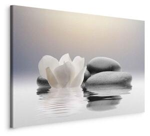 Quadro Garden of Calm