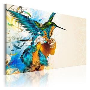 Quadro Bird's music