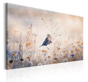 Quadro August Melody