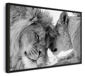 Quadro Lion's Love