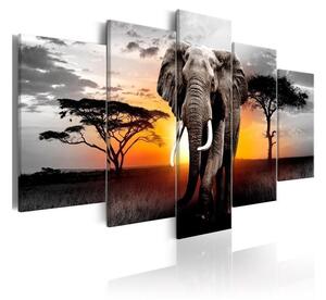 Quadro Elephant at Sunset