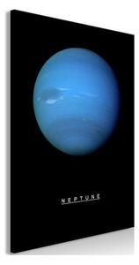 Quadro Neptune (1 Part) Vertical