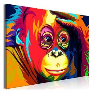 Quadro Colourful Orangutan (1 Part) Wide