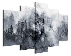 Quadro Mountain Predator (5 Parts) Wide