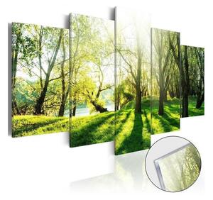 Quadri su vetro acrilico Green Glade [Glass]