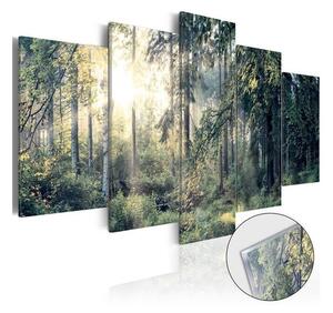 Quadri su vetro acrilico Fairytale Landscape [Glass]