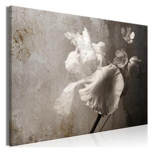 Quadro - Venetian Splendor (1 Part) Wide
