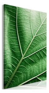 Quadro - Malachite Leaf (1 Part) Vertical