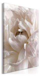 Quadro - Fluffy Distraction (1 Part) Vertical