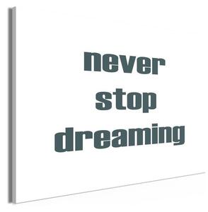 Quadro - Never Stop Dreaming (1 Part) Wide