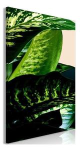 Quadro - Dieffenbachia (1 Part) Vertical