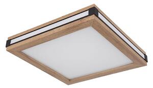 Globo 41589D1 - Plafoniera LED CARLA LED/12W/230V 30x30 cm