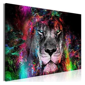 Quadro - Sun of Africa (1 Part) Wide