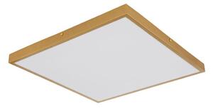 Globo 12382-30 - Plafoniera LED TIBEY LED/30W/230V 45x45 cm