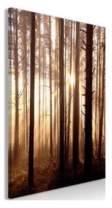 Quadro - Forest Paths (1 Part) Vertical