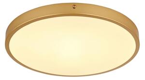 Globo 12381-22 - Plafoniera LED TIBEY LED/22W/230V diametro 35 cm