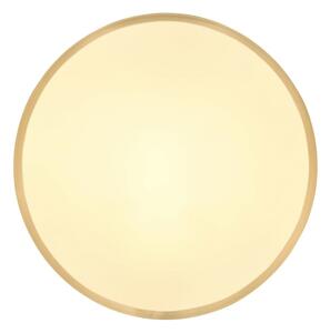 Globo 12381-22 - Plafoniera LED TIBEY LED/22W/230V diametro 35 cm