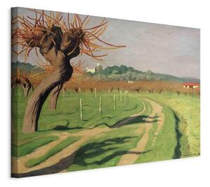 Quadro - Vallée de la Cagne (Félix Vallotton)