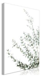 Quadro - Eucalyptus Parvifolia (1 Part) Vertical