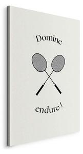 Quadro - Black Badminton Rackets