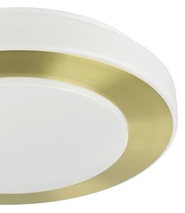 Eglo 900369 - Plafoniera LED da bagno CARPI LED/10,8W/230V IP44