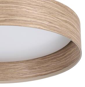 Eglo 900463 - Plafoniera LED LUPPINERIA LED/24W/230V