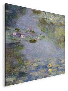 Quadro - Nymphéas (Claude Monet)