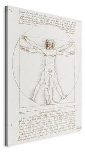 Quadro - Vitruvian Man (Proportions of the human body according to Vitruvius)