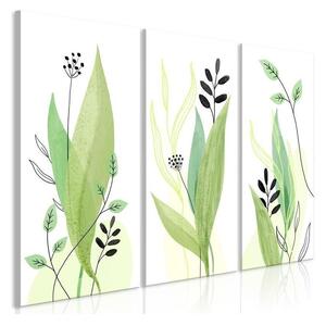 Quadro - Green Day (3 Parts)